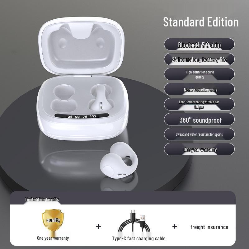 Noise-Cancelling Bluetooth Earphones with Air Conduction & Low Latency