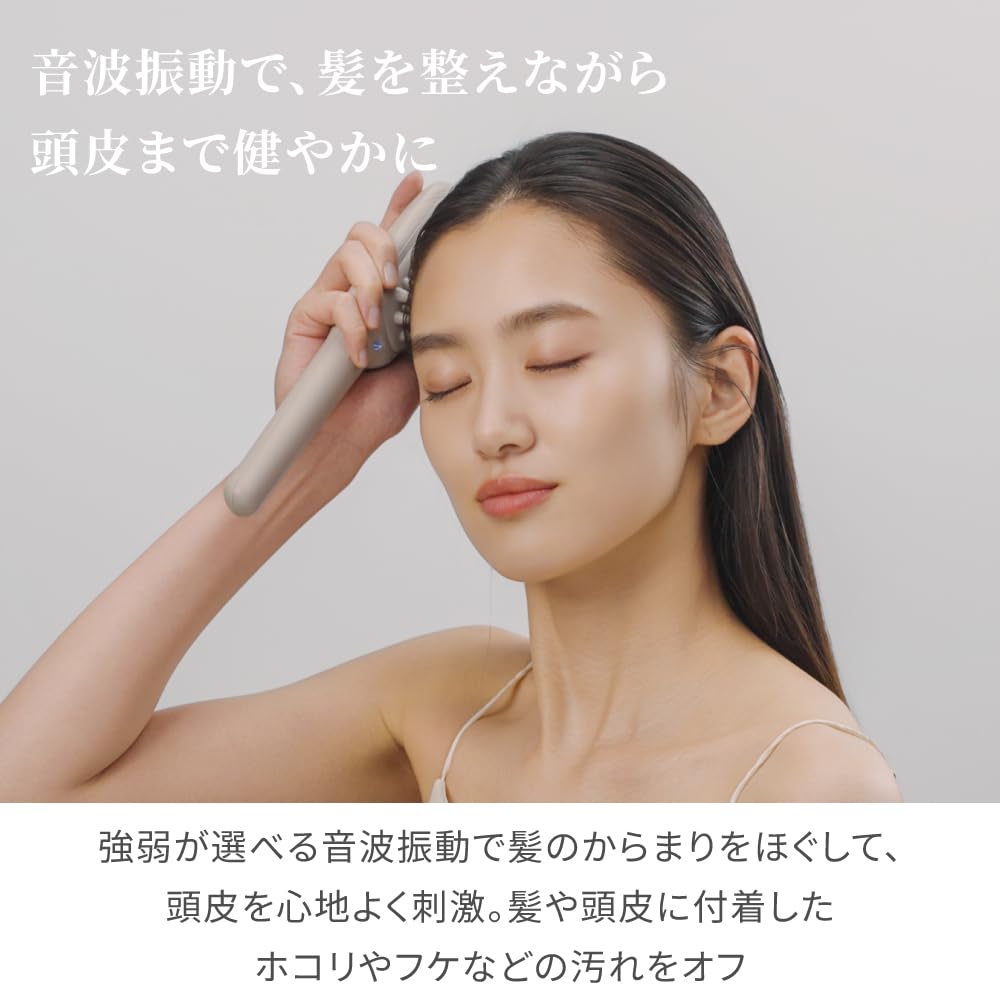 FESTINO Salon Care Scalp Ion Brush Negative Ion Sonic Brush with Metal and Scalp Gift SMHB-051, Vibration, 2-Way Silicone, Battery-Operated, Care,