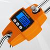 Professional Heavy Duty Weight Balance Crane Scale Electronic Scale LCD Digital Scale 300kg