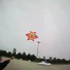 1-Pack New 3D Plum Blossom Kite, Suitable for Beach Park Picnic Travel, Kids & Adults, Easy-to-Fly Outdoor Toy