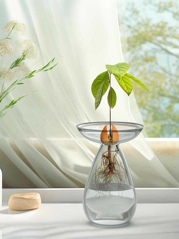 Stacja do rozmnażania roślin Przezroczyste szkło Drzewko awokado Wazon na kwiaty Szklany planter Miłośnicy ogrodnictwa Dekoracja domu