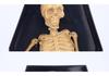 Remote Control Skeleton Ghost Prank Toy for Halloween