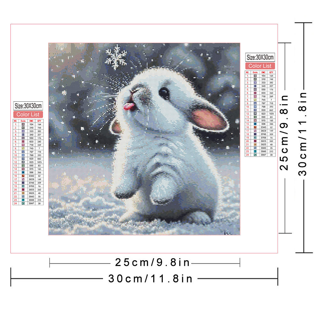 5D DIY Diamond Painting Cute Rabbit in Snow Crystal Canvas Art Full Round Diamond Embroidery Kits Picture Home Decoration