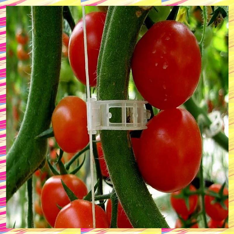 ABJJ 200 PCS Plant Support Clips Reusable Plastic For Vegetable Tomato Garden Supplies,B