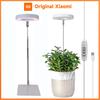 LED Grow Light מנורת צמח עם ספקטרום מלא מתכוונן לעמעום מנורת גידול LED מנורת הידרופוניקה עם טיימר לאור צמחים מקורה