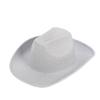 Silberfarbener Glitzer Cowboyhut Western cowboy Männer und Frauen Retro Party Bühnenparty Cowboyhut Outdoor Ritterhut Großhandel