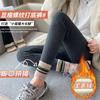 Lamb Wool Leggings Women's Outer Wear Fleece Thickened Autumn and Winter Collision Color Mouth Warm Cotton Pants Gray High-waisted Long Johns