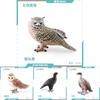 Detailed Static Pvc Bird Models Including Majestic Eagle Unique Vulture And Owl Designs