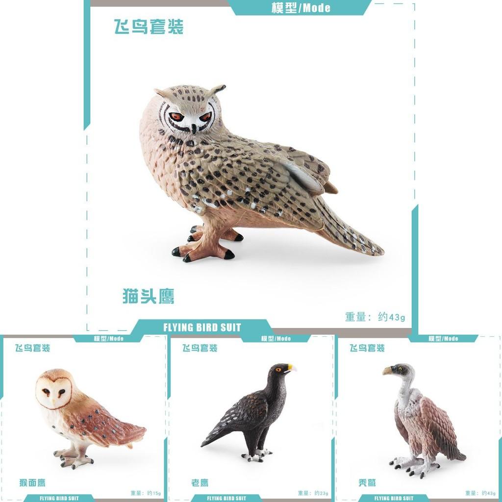 Detailed Static Pvc Bird Models Including Majestic Eagle Unique Vulture And Owl Designs