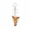 Pokemon Anime Cartoon Keychain Eevee Leafeon Espeon Glaceon Vaporeon Jolteon Acrylic Key Chain Pendant Decoration