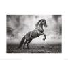 Lisa Saint Den store Apollo II-plakat