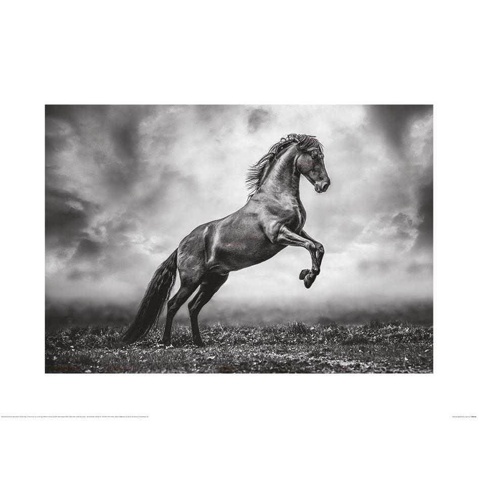 Lisa Saint Den store Apollo II-plakat