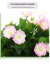 High-Quality Morning Glory Wall Hanging Vine - Artificial Green Plant Decoration for Living Room