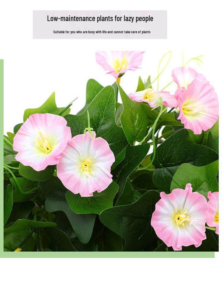 High-Quality Morning Glory Wall Hanging Vine - Artificial Green Plant Decoration for Living Room
