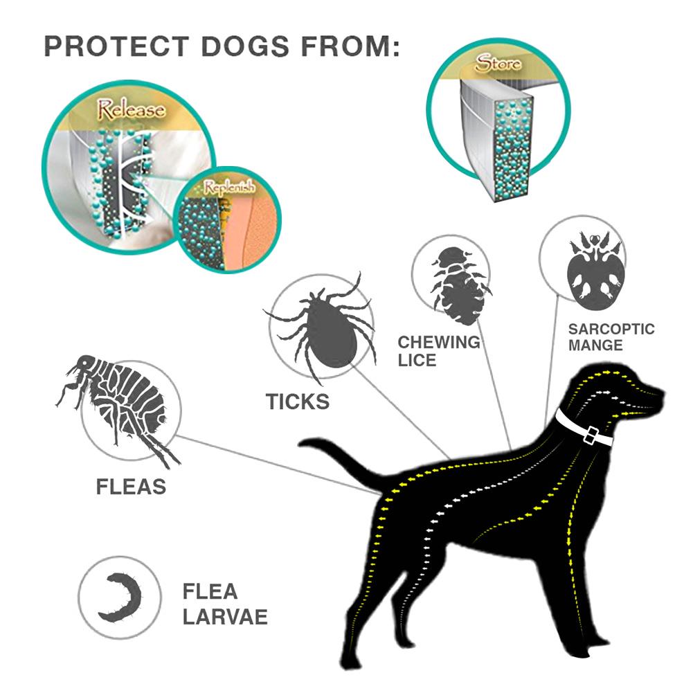 Cat Waterproof Protection Adjustable Insect Collar Shield Tick Anti Dog Flea Mosquitoes Shoe bag sho