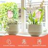 Pink Tulip Shaped Plant Self-Watering Stakes, Clear Plastic Automatic Watering Globes for Indoor & Outdoor Potted Plants