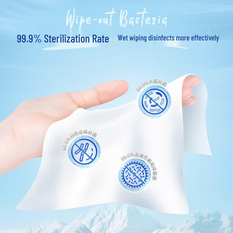 Tempo Pure Water Flushable Wipes