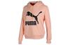 CLASSICS Sweatshirts Men's Coral Hooded Moderate Regular 595915-88
