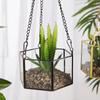 Modern Hanging Glass Terrarium Geometric Hexagon Shaped Succulent Air Plant Holder Container Wall Planter Flower Pot X3UC