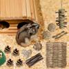 Pet Tooth Grinding Toy Set Chinchillas Teeth Care Toy Safe Rodents Chewables for Dentals Health