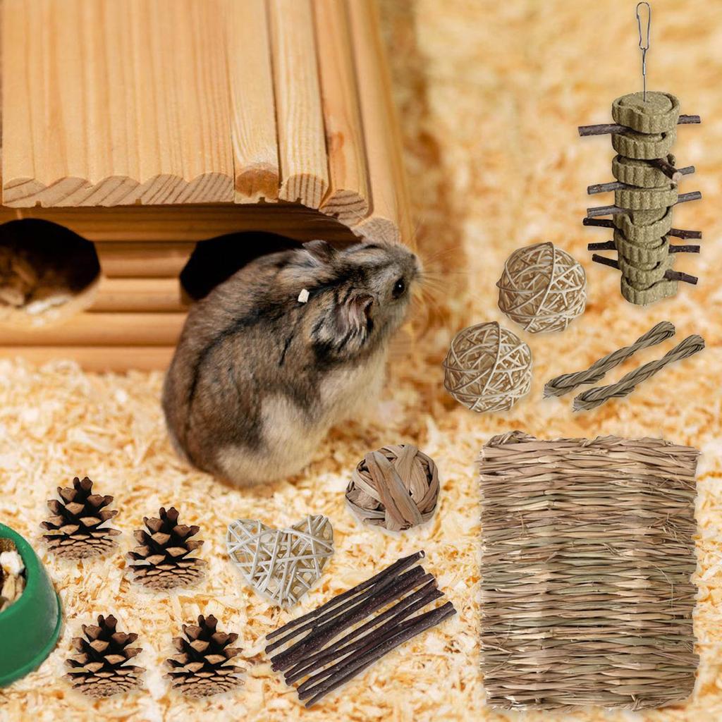 Pet Tooth Grinding Toy Set Chinchillas Teeth Care Toy Safe Rodents Chewables for Dentals Health