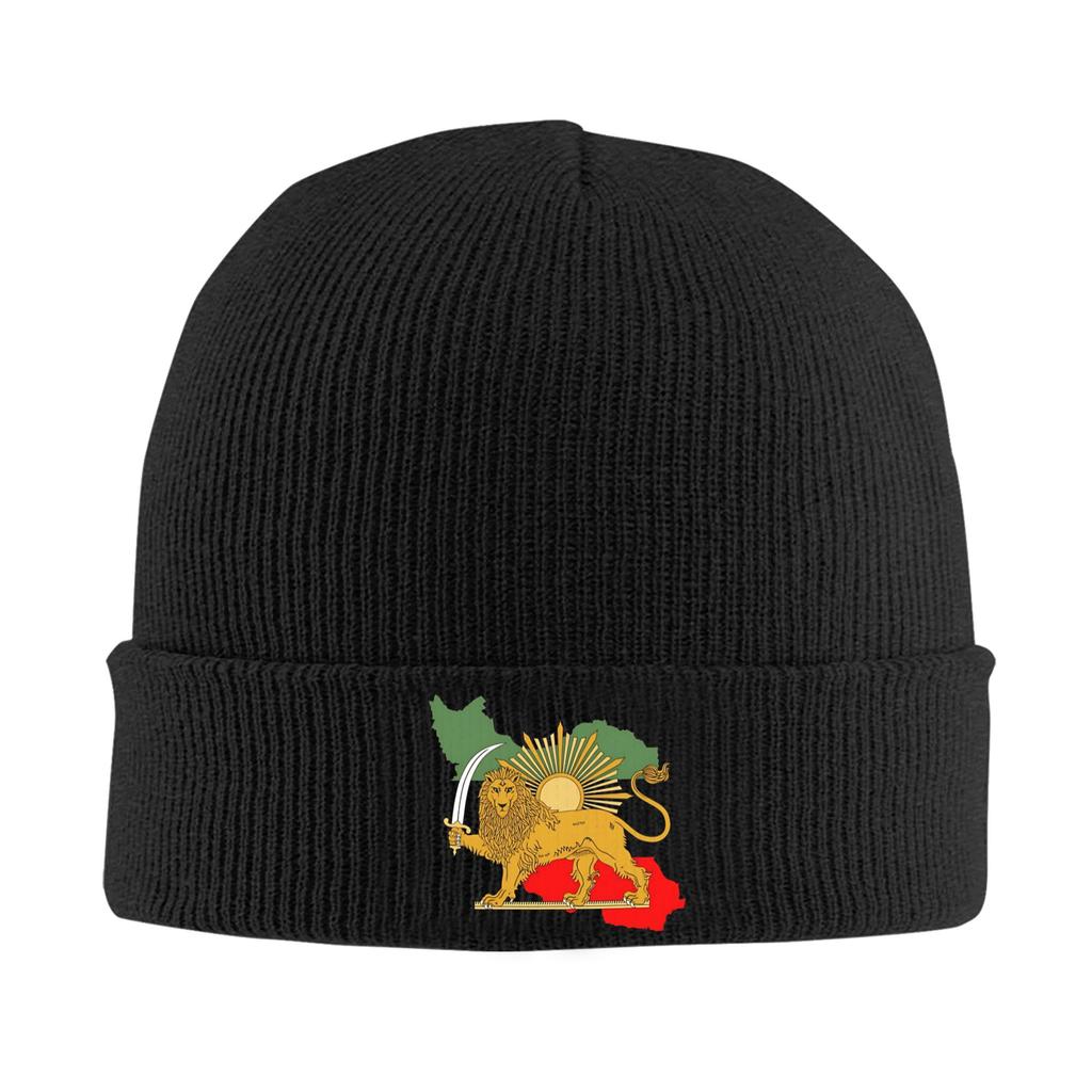 Lion and Sun of Flag Emblem Knitted Caps Women's Men's Beanie Autumn Winter Hats Acrylic  Warm Caps