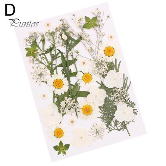 

Прессованные смешанные органические натуральные сушеные цветы DIY художественное ремесленное подарочное украшение D