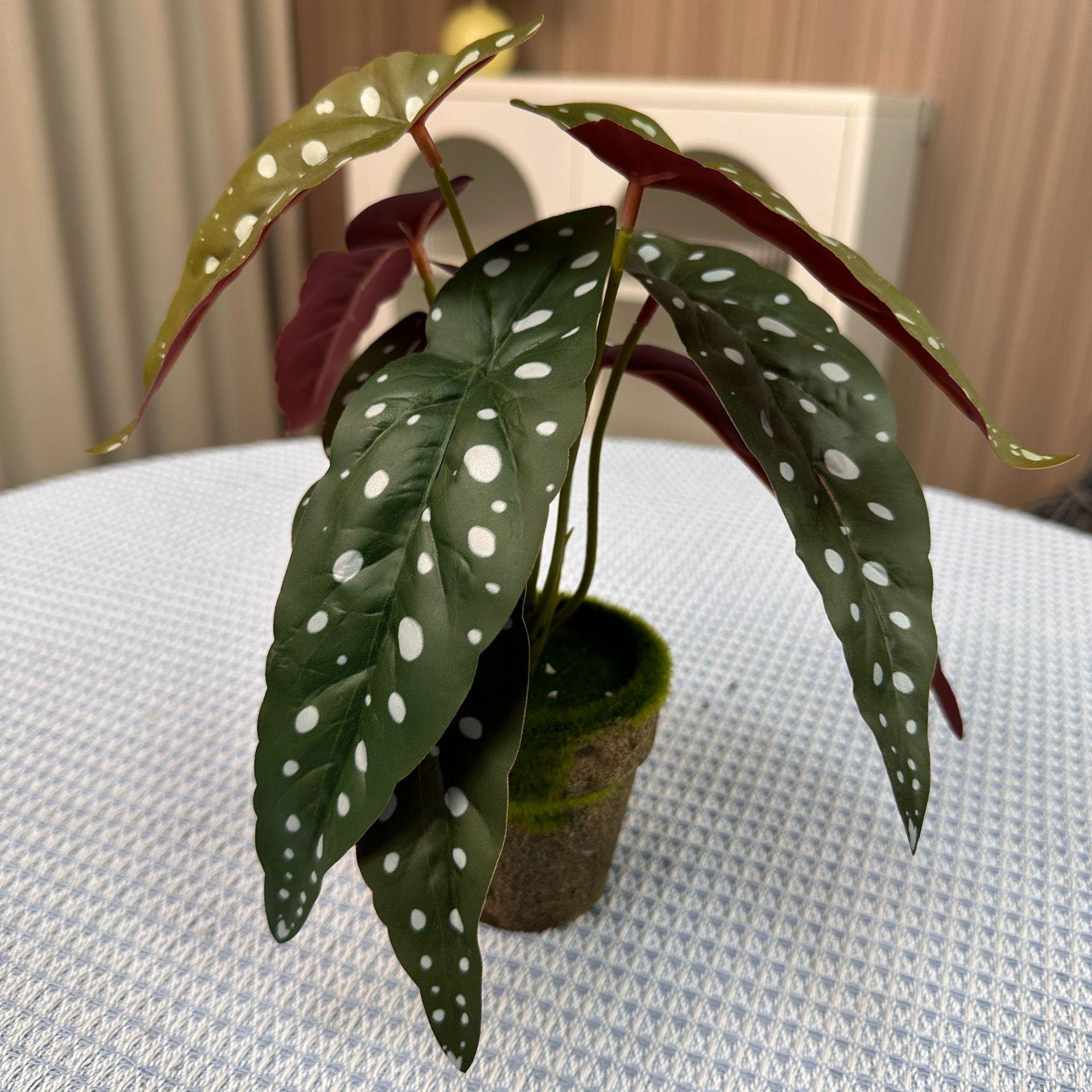 Искусственная стена с папоротником «Рыбий хвост»