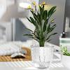 Hydroponic Plant Vase with Cotton Rope Plastic Creative Flowerpot Lazy Self Watering Vase Plant Pot for Home Garden Decoration
