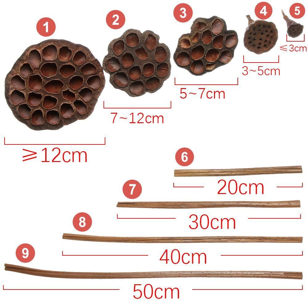 Naturalna Emulacja Biuro Dekoracje Domowe Suszony Lotos Prasowane Kwiaty Brązowy Kwiat Lotosu