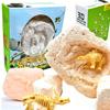 Giocattoli formativi ed educativi – Kit scientifici per bambini