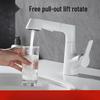 OEING Gunmetal Grey Lift Pull-Out Basin Faucet