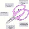 Professional Pruning Shears Stainless Steel Garden Scissors Heavy Duty Plant Trimmer for Flowers, Branches, Fruit Picking and Gardening