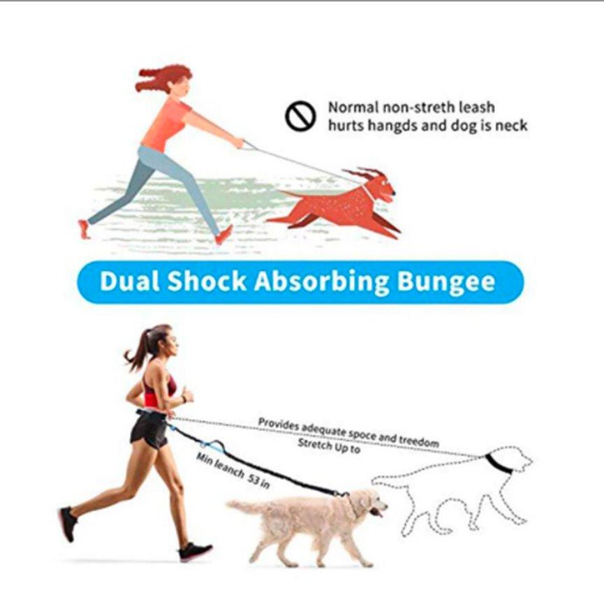 hands free running leash