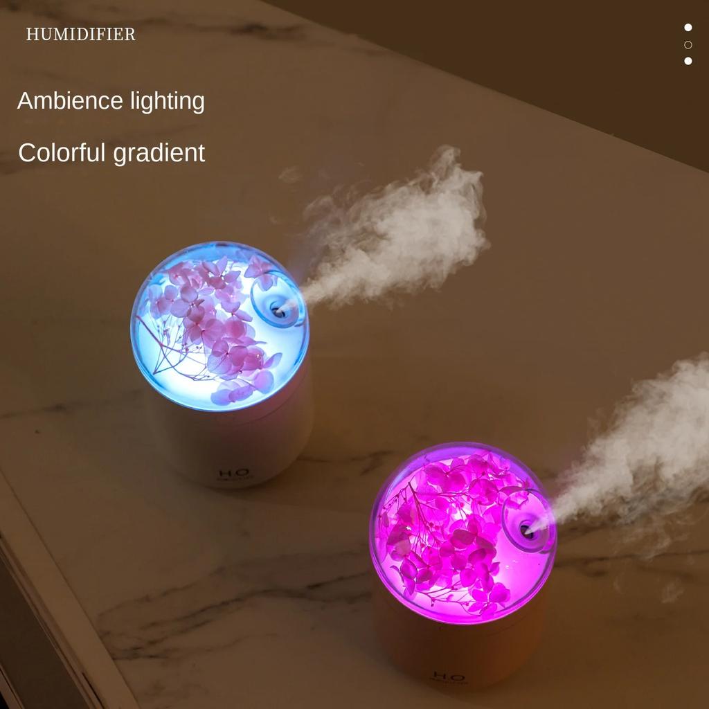 Aeonium Humidifier Mini Home Bedroom Hydration Desktop Sprayer Aromatherapy Ambient Light Humidifiers Difuser Essential Oil