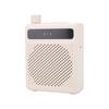 Wireless Microphone Amplifier Built in Professional Chip Clear Voice No Distortion Re able Portable Voice Amplifier   Mic for Teachers   G