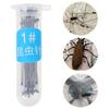 200Pcs Specimen Pin Stainless Steel Collection Needles Entomology Tools Insect Display Kit Collector Pins Pin Collection Needle