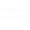 2 Stickers, Vehicle Stickers for Motorhomes, And Other Vehicles