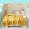 Solid Jacquard Color Thickened 70x100cm Blanket Double Sided Fluff Plush Office