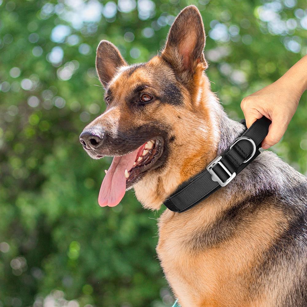 Durable Tactical Dog Collar Adjustable Nylon Military Collars with Control Handle for Medium Large Dogs German Shepherd Training