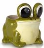 Ceramic Pot Green Decorative Frog 15 Cm