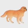 "Simulation Dog Models: Golden Retriever, Bulldog, Shepherd, Corgi, Shiba Inu Collection"