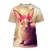 Animal Rabbit 3D Printed T-Shirts Men Women Casual Fashion Streetwear Oversized Short Sleeve T Shirt Male Tees Tops Man Clothing