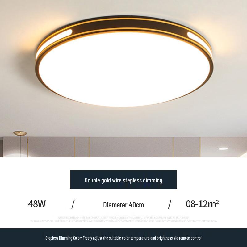 

Modern Black Iron Frame Living Room LED Ceiling Light