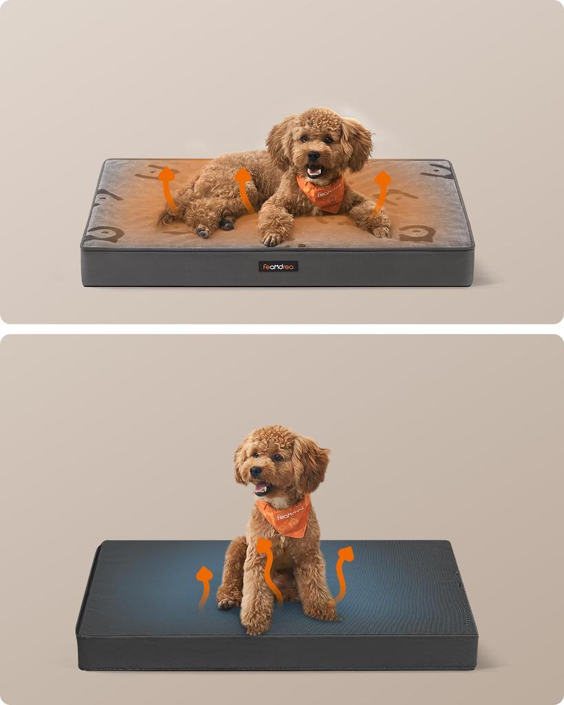 FEANDREA Dog for Small to Medium Dogs and 76 x 51 x 8 cm Bed, Summer, Washable, Fluffy, Non-Slip, Clean, Versatile, Cats, (PGW241G01)