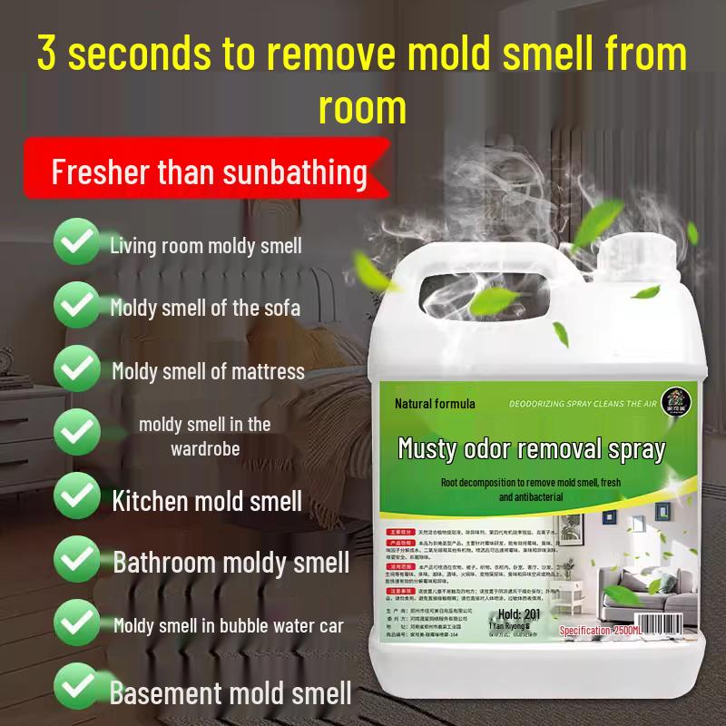 

Mold Odor Eliminator: Removes Dampness & Freshens Indoor Air