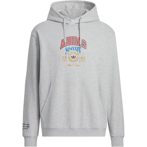 Adidas Originals VRCT FW24 HD M Sweatshirt Men s Medium Heather Gray JW1964 M серый