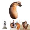 Kreatives 3D-Simulations-Hundekissen, Plüschtier Hund Stofftier für Kinder, Kurzer Plüschstoff, PP-Baumwollfüllung, Verschiedene Größen und Farben