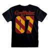 Harry Potter Unisex Adult Quidditch Gryffindor T-Shirt
