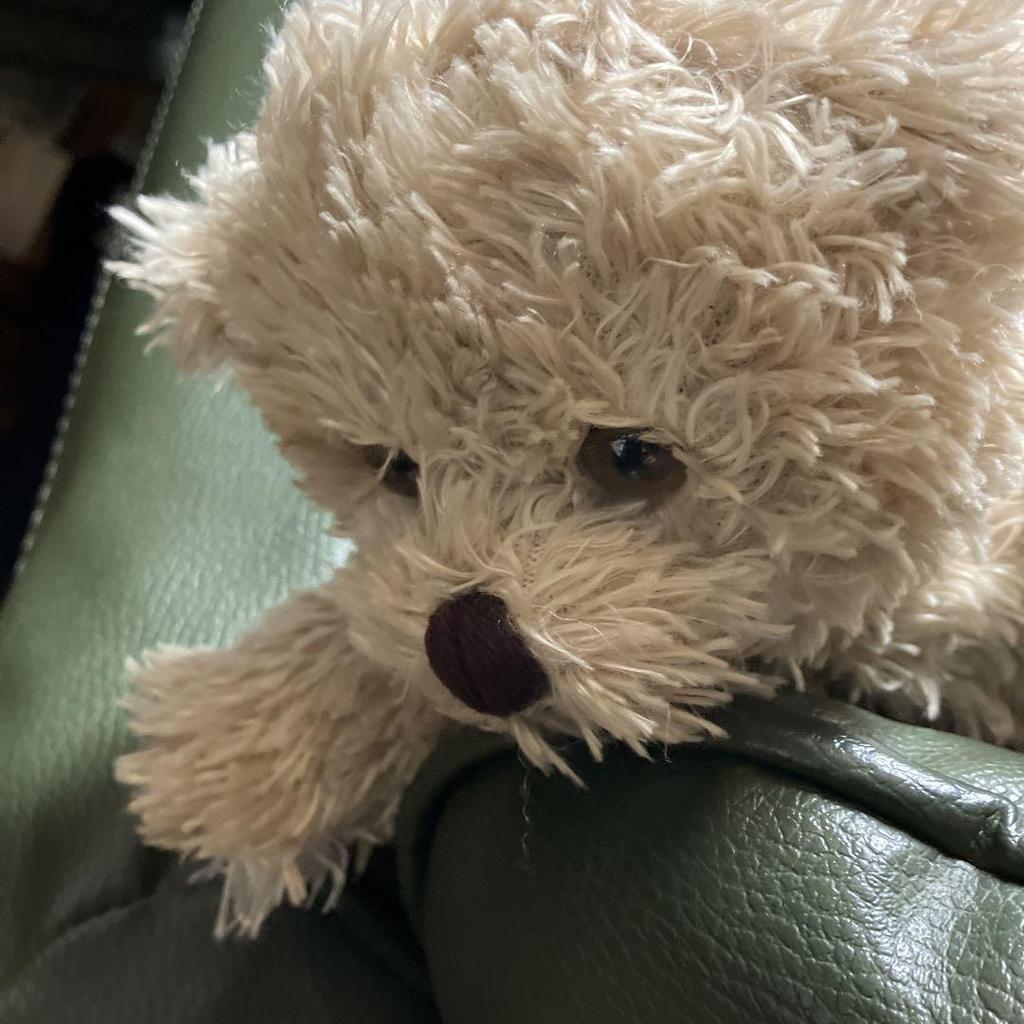 [USED] German-made Teddy Bear, Stuffed Animal, Bear, German Football Association Bremen GmbH